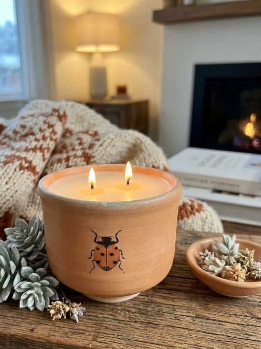 Ladybug Orange, 2 Wick 13oz Soy Wax Desert Frost, Pottery Vessel Candle