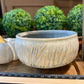 Handcrafted, Wheel-Thrown Container Candle- Medium Shallow Vessel, Textured White/Blue Bowl- 12oz Luxury, Long-Burning Soy Wax- Phthalate Free Fragrance